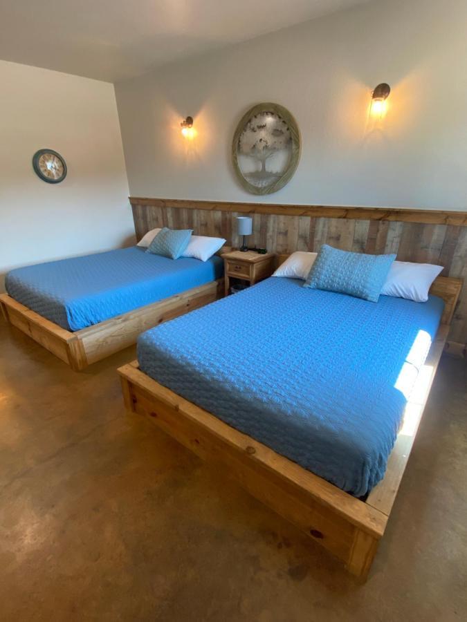 The Woods Lodging Kingston Δωμάτιο φωτογραφία