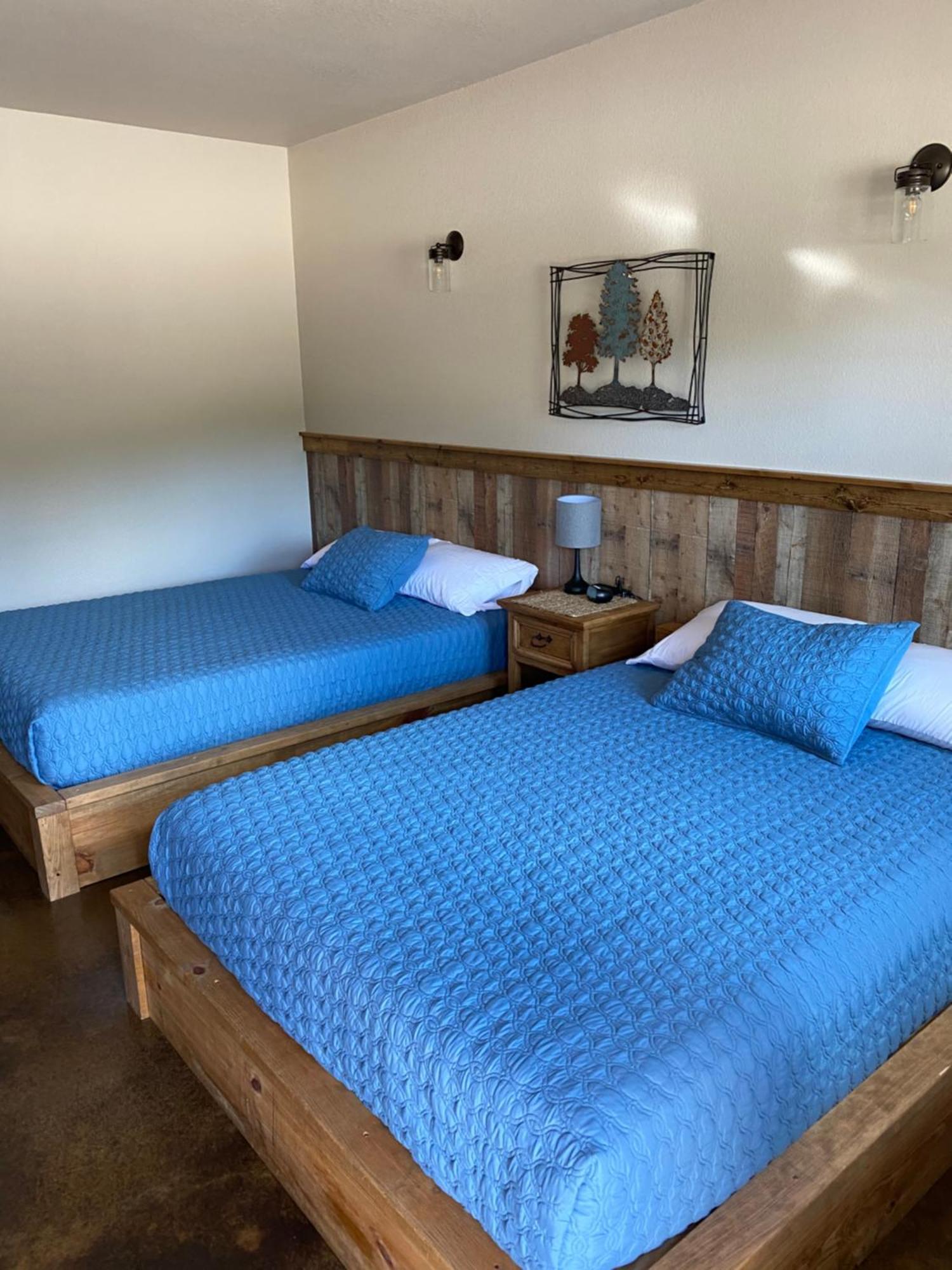 The Woods Lodging Kingston Δωμάτιο φωτογραφία